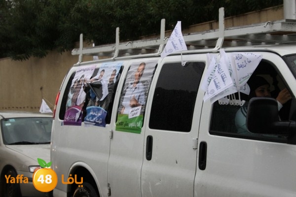 qafela sayarat haiywa (27).JPG